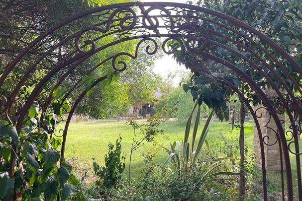 ARCHE JARDIN