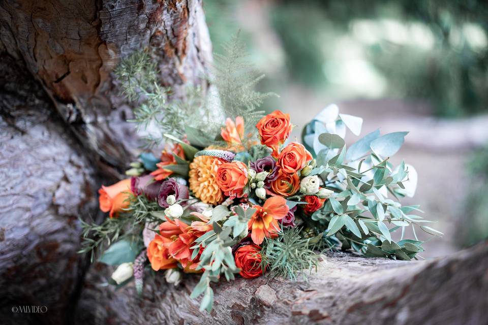 Flowers on tree