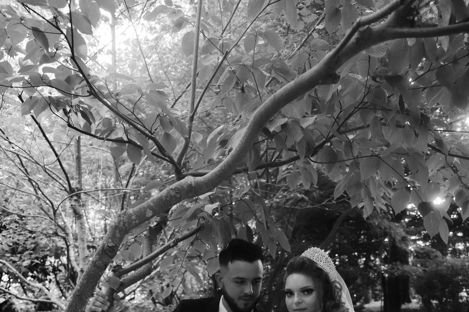 Photo parc