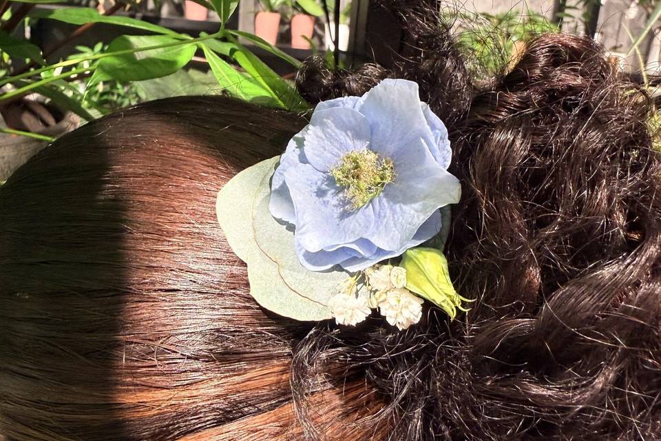 Bijoux de cheveux
