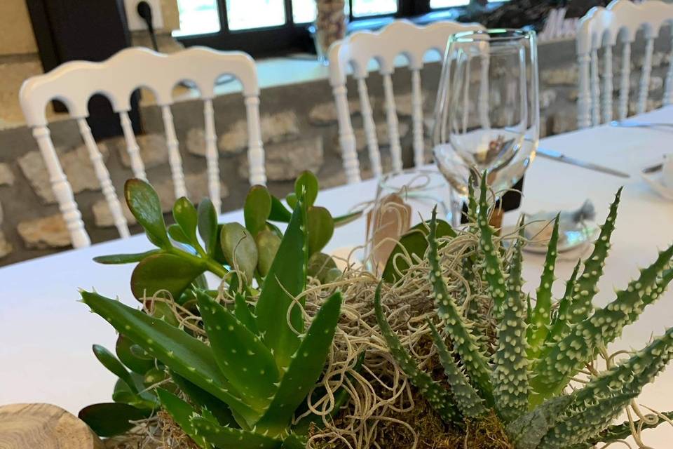 Centre de table planté