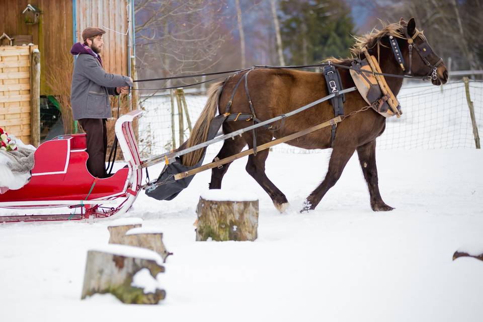 Un traineau dans la neige