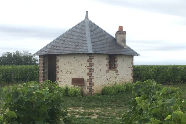 Loge de vigne
