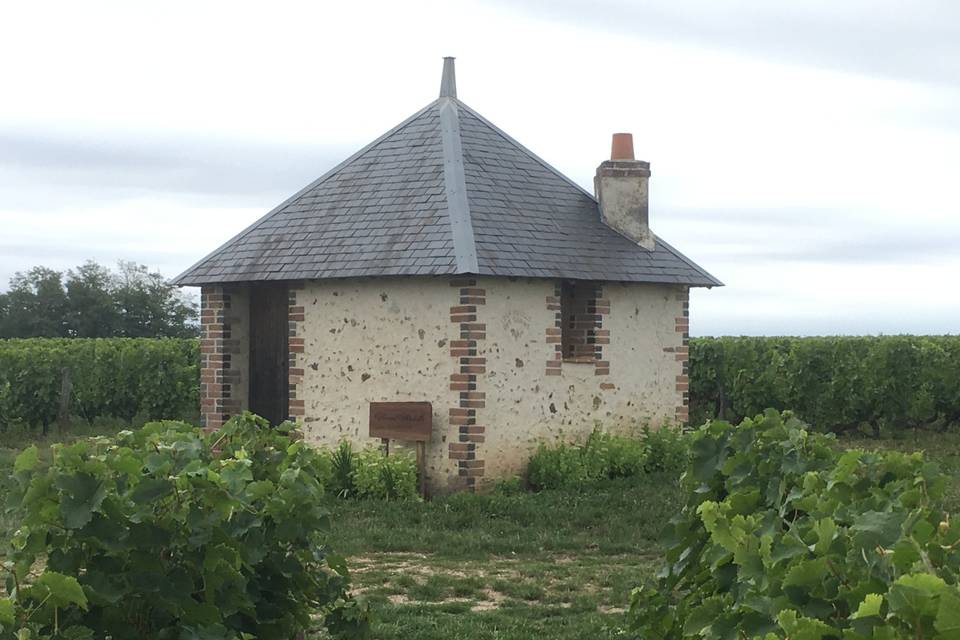 Loge de vigne