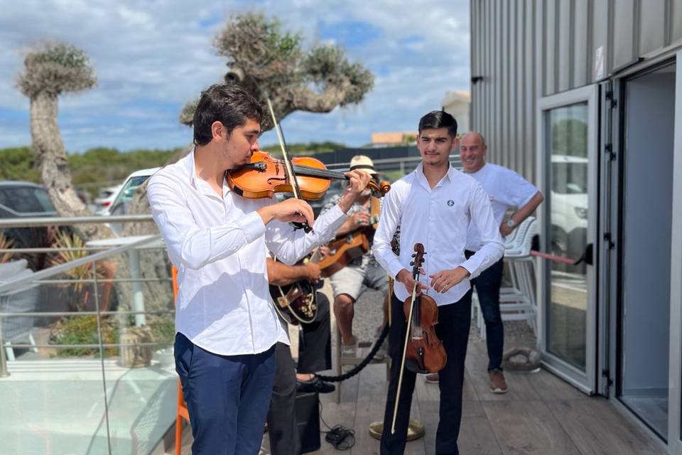 Musicien