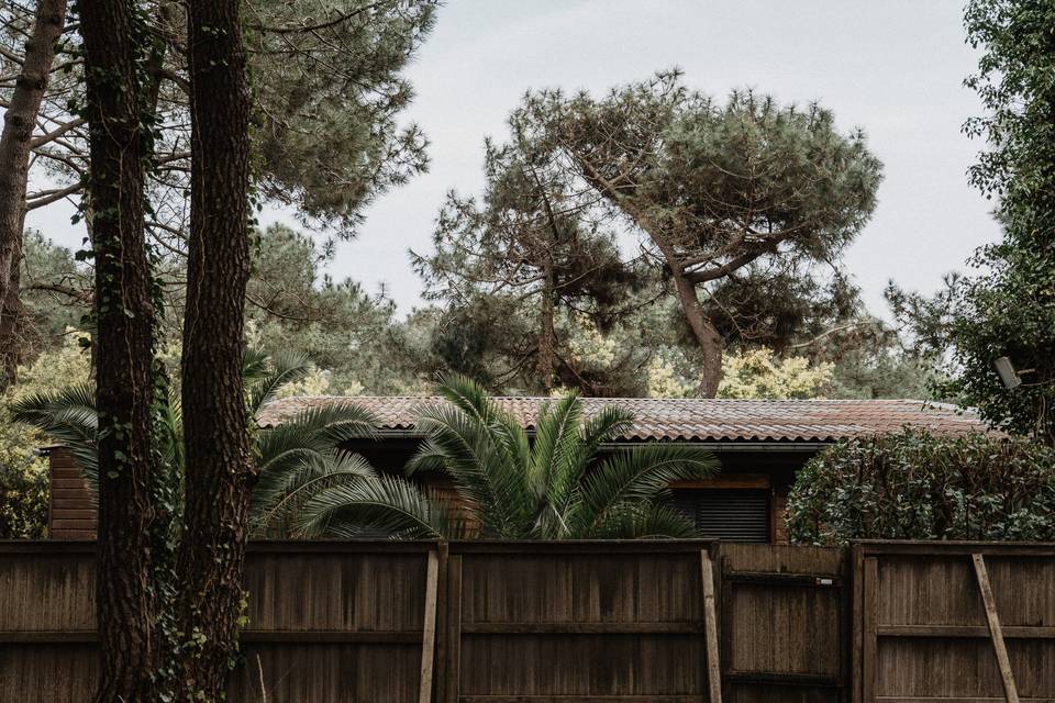 La maison du ferret