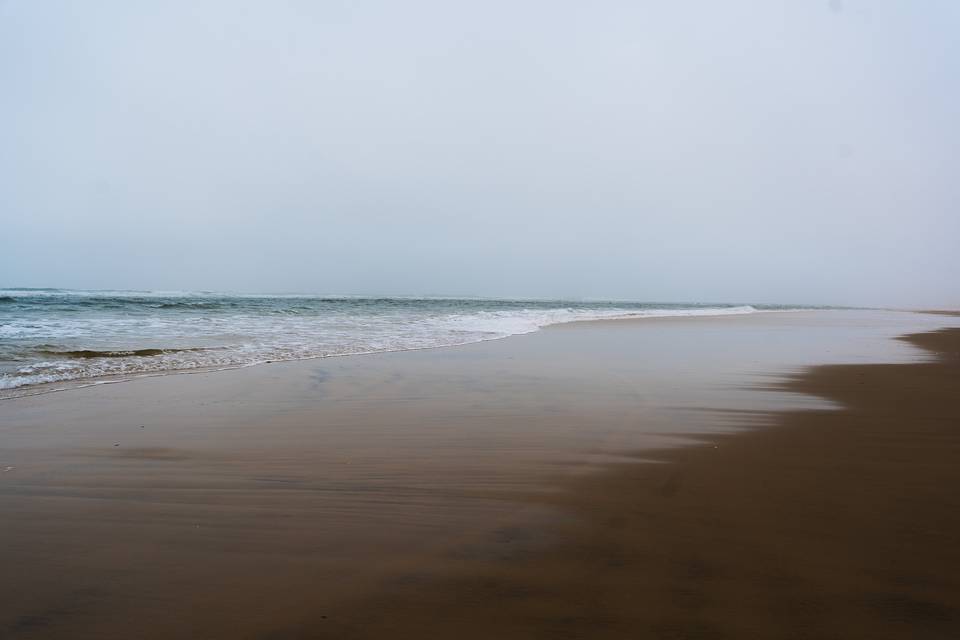Au bord de l'eau