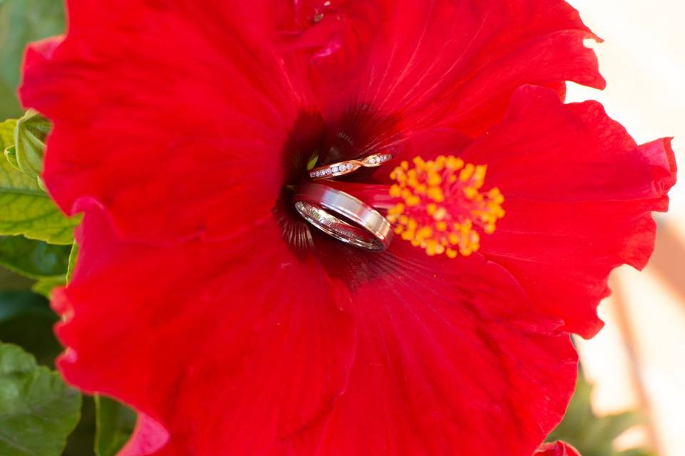 Photo bague dans fleur