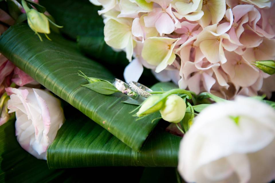 Photo bagues dans les fleurs