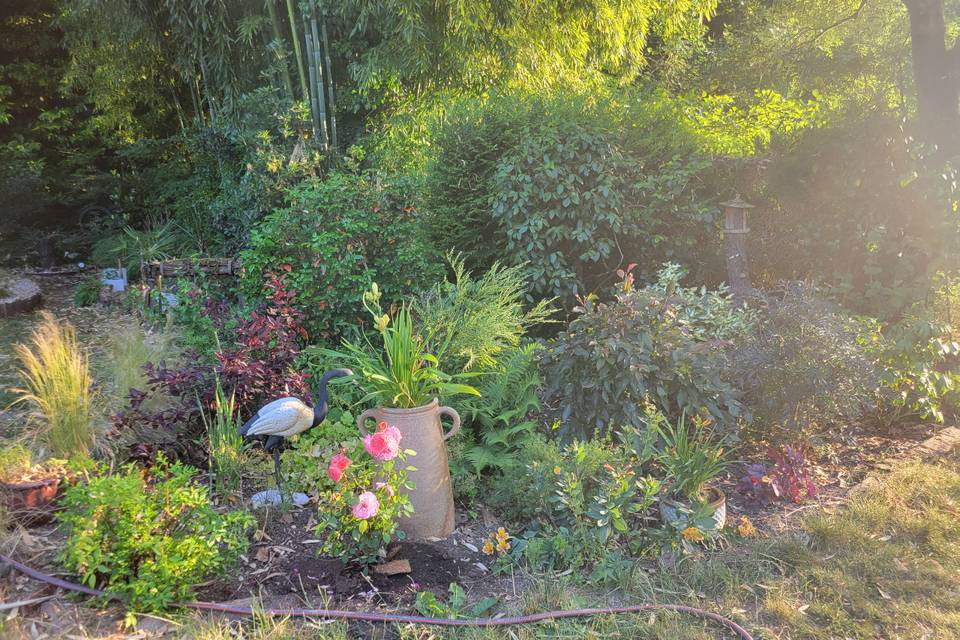 Le jardin