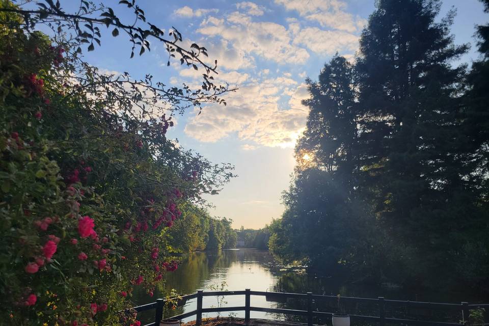 Vue sur le Loiret