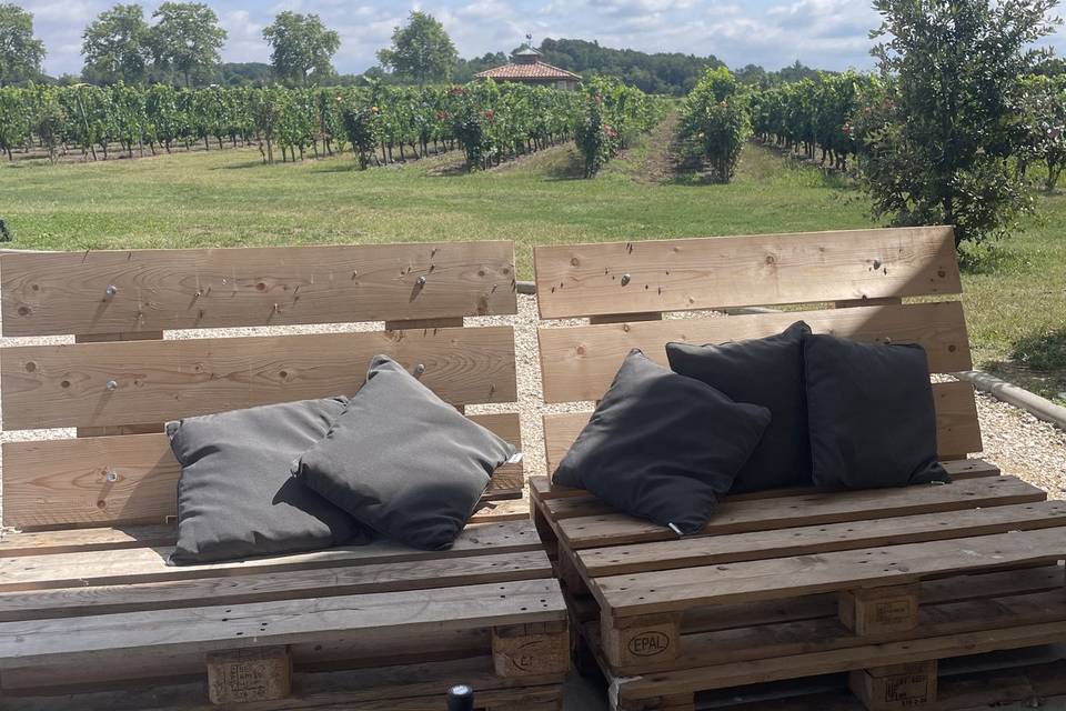Vu sur vignes