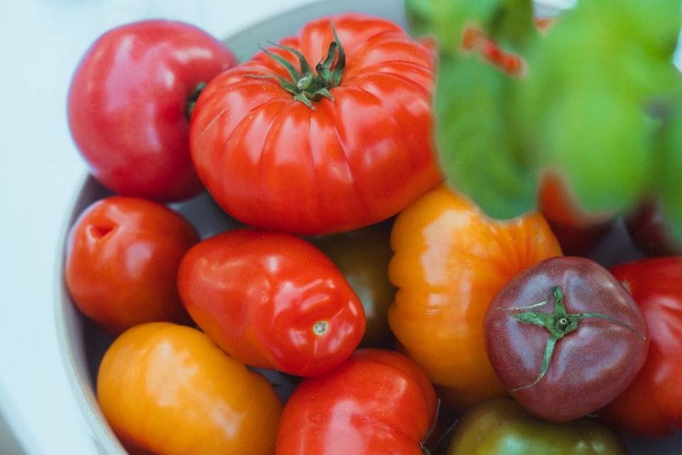 Bar Tomates crème de burrata