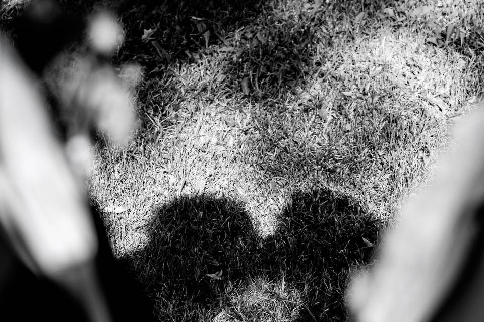 Shadow love