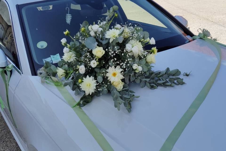 Ventouse voiture