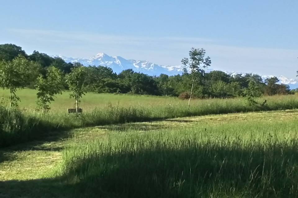 Vue sur les Pyrénées de Gaja