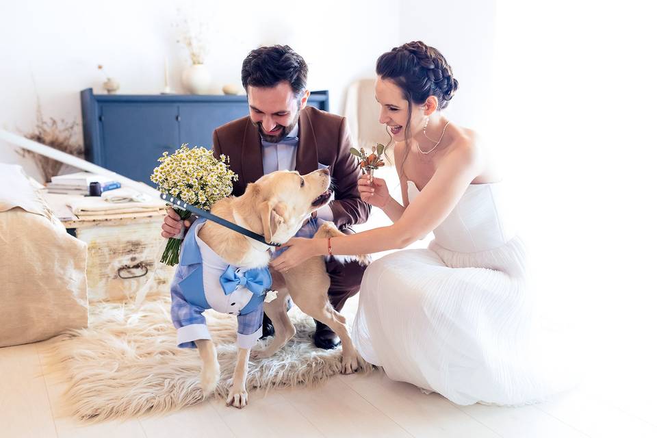 France wedding moments