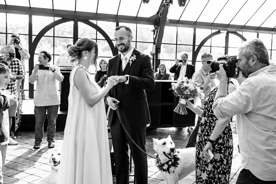 Documentary wedding france