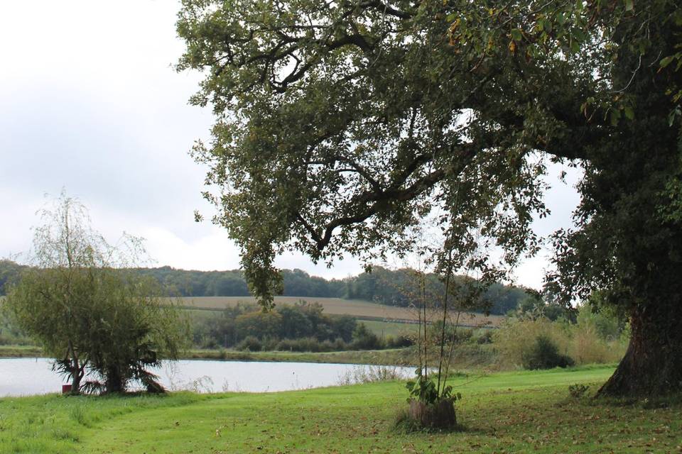 Le chêne et le lac de Gaja