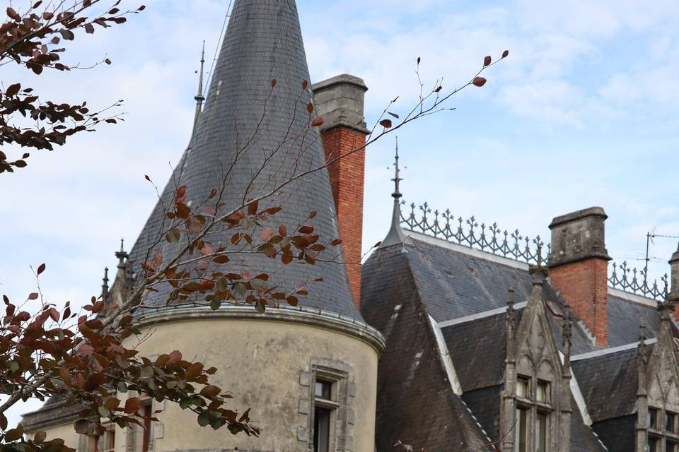 Chateau du boisrenauld