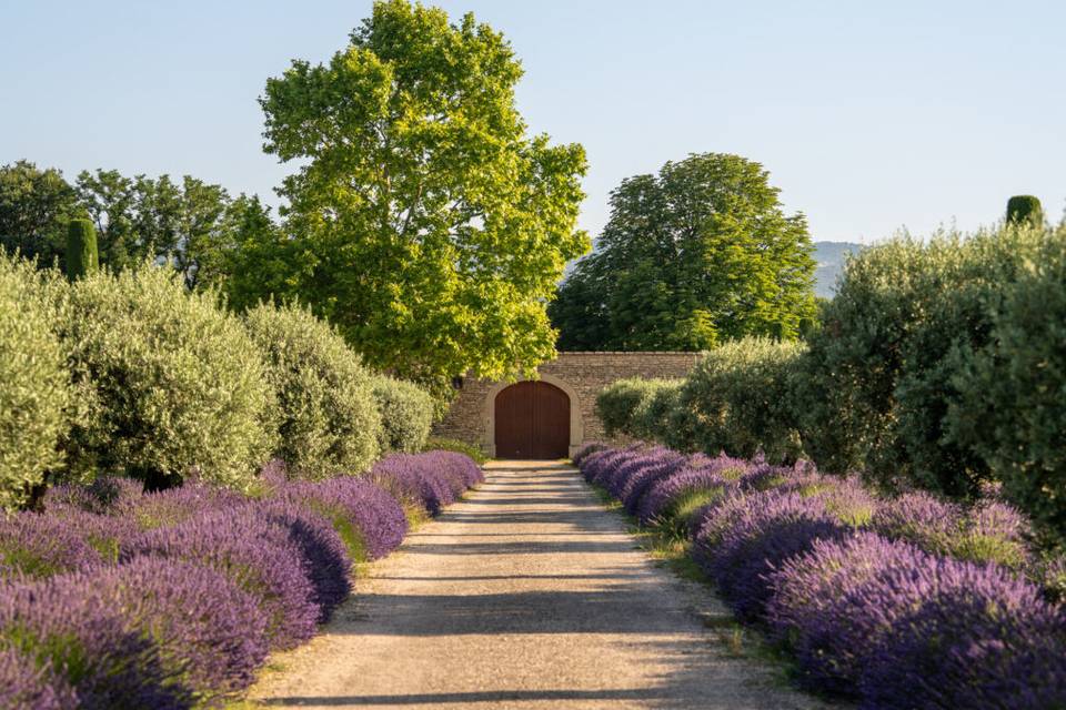 Provence secrets