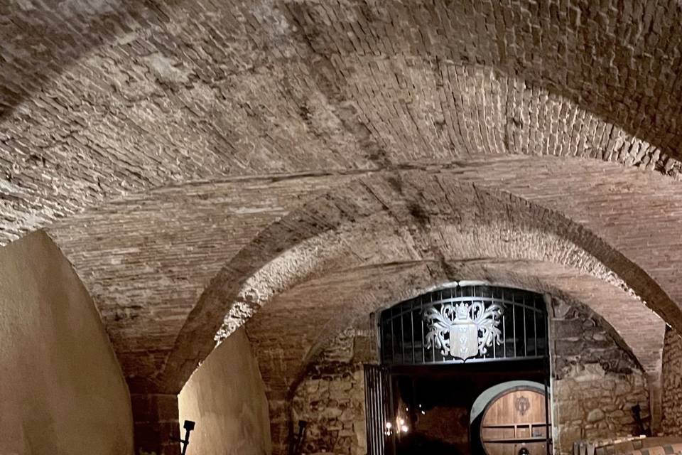 Wine Tours