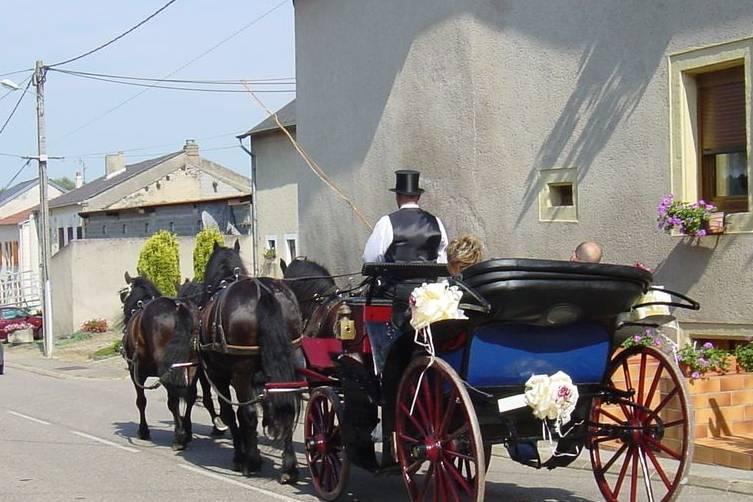 Quatre chevaux