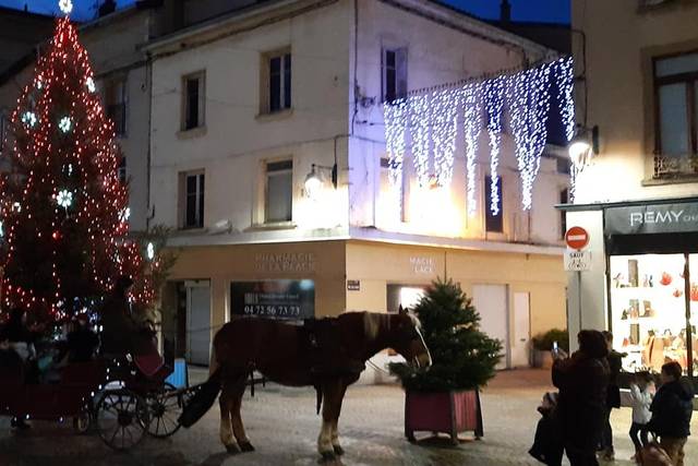 Les Attelages de la Dombes