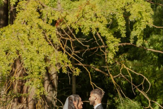 Leila & Paul