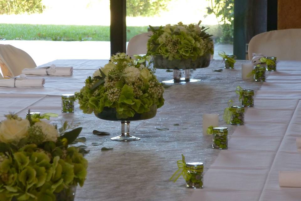 Le Jardin des Carmes