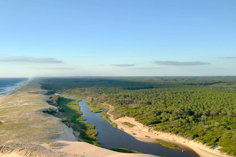 Le Courant d'Huche (landes)