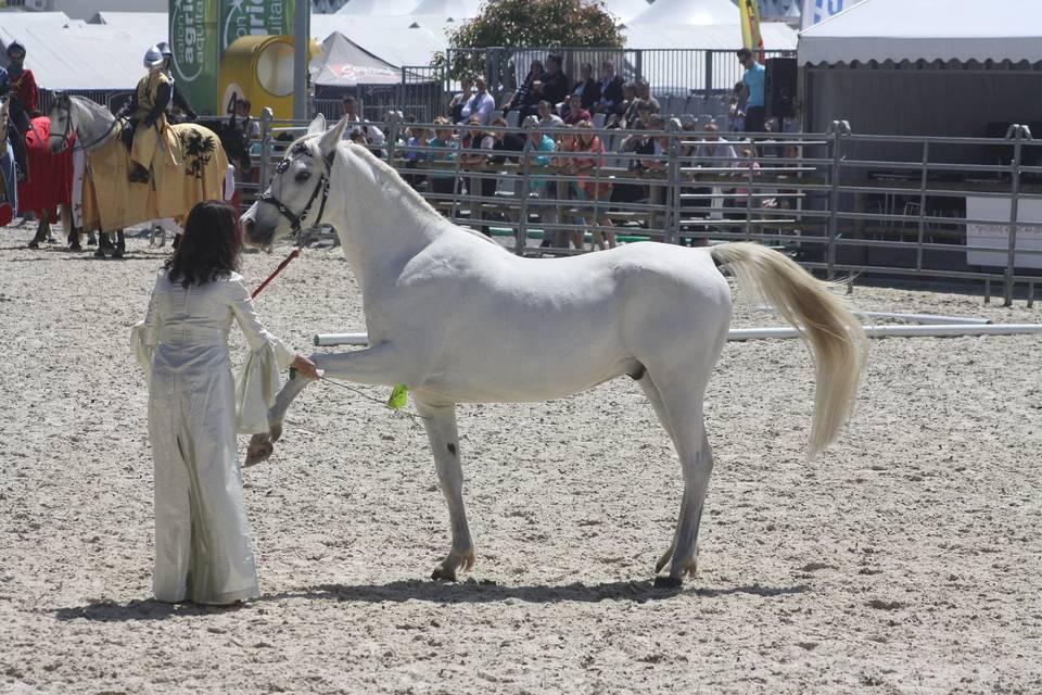 Foire de bordeaux