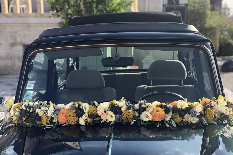 | Décors de voiture |