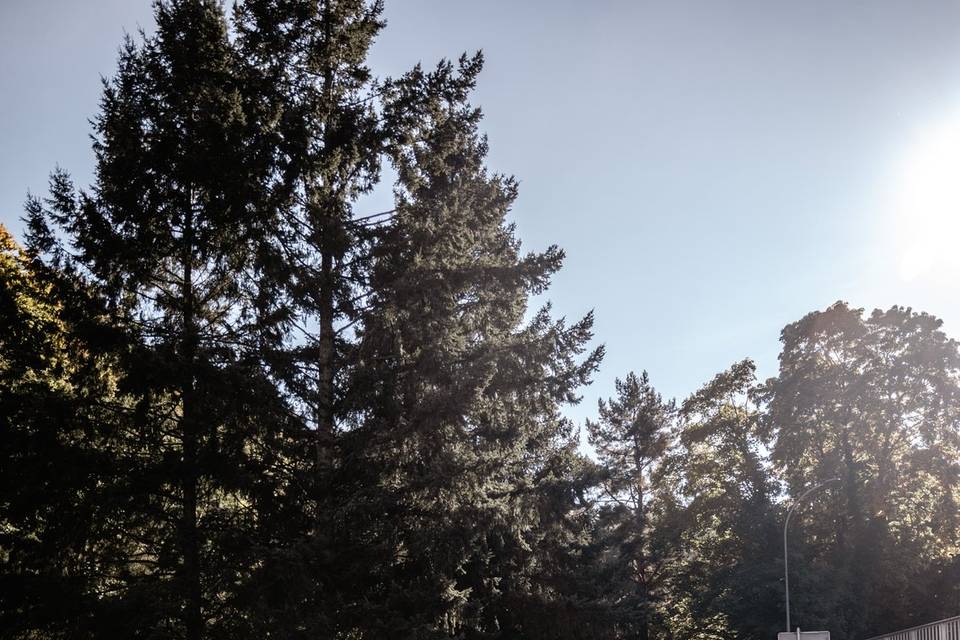 Grand jardin arboré