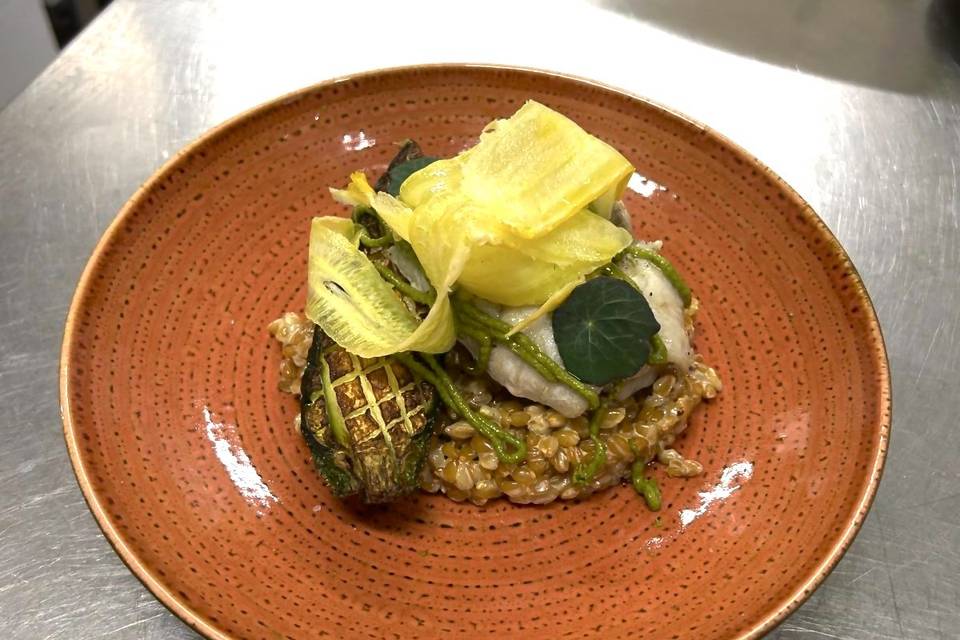 Lieu noir, risotto d’épeautre
