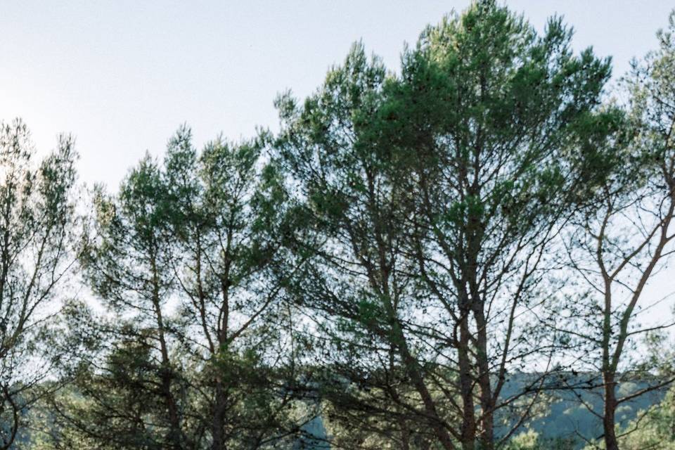 Photographe Mariage Provence