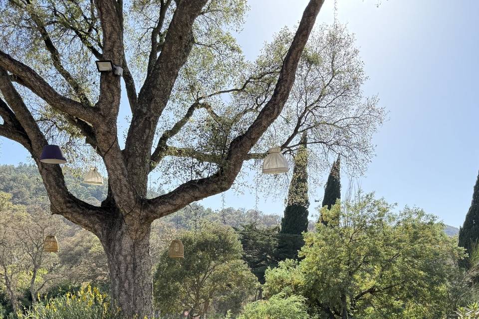 Espace canapé dans la nature