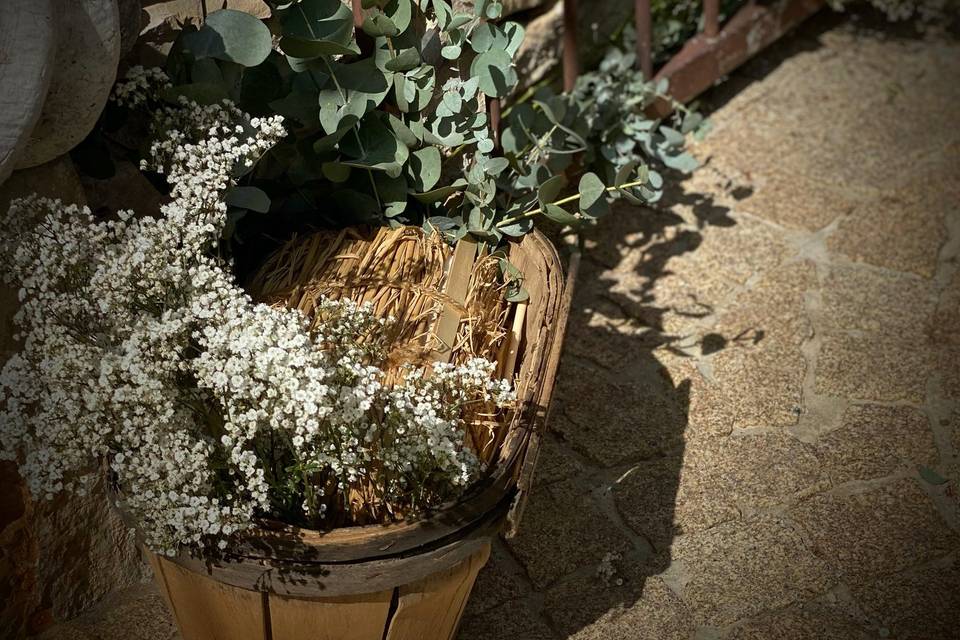 Gypsophile et caisse bois