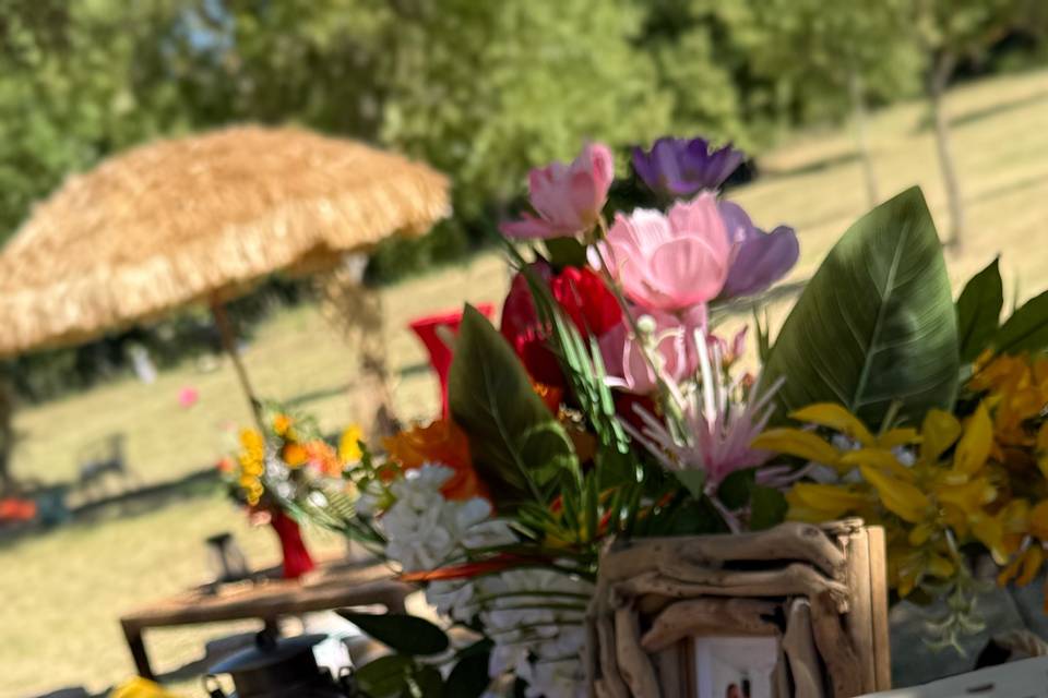 Ombre, parasols et fleurs