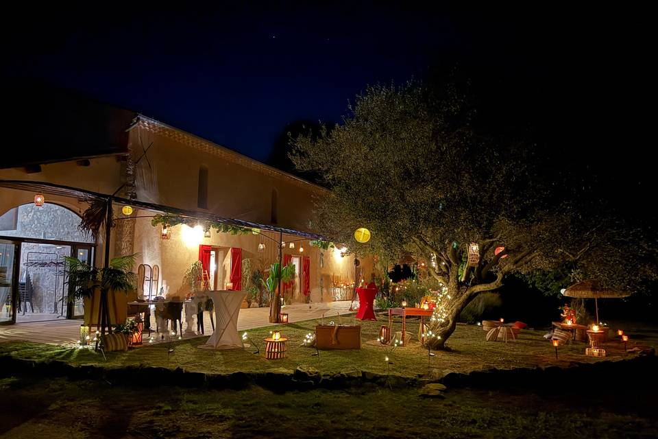 Donner de la vie la nuit