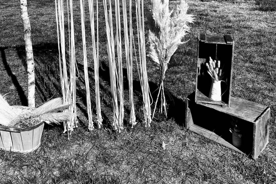 La nature en noir et blanc