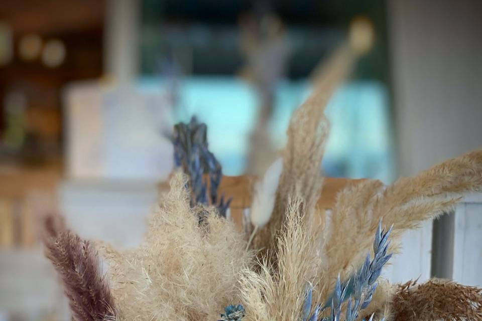 Pampas et bleues séchées