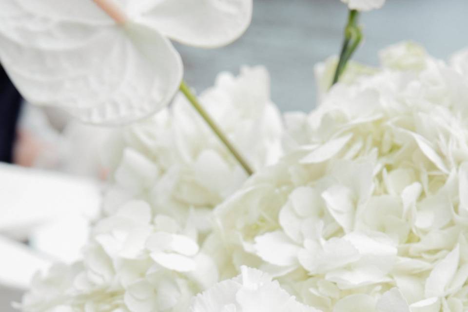 Manavella Weddings