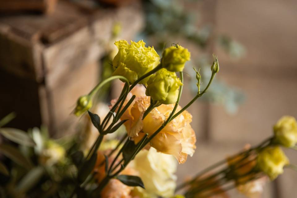 Décoration