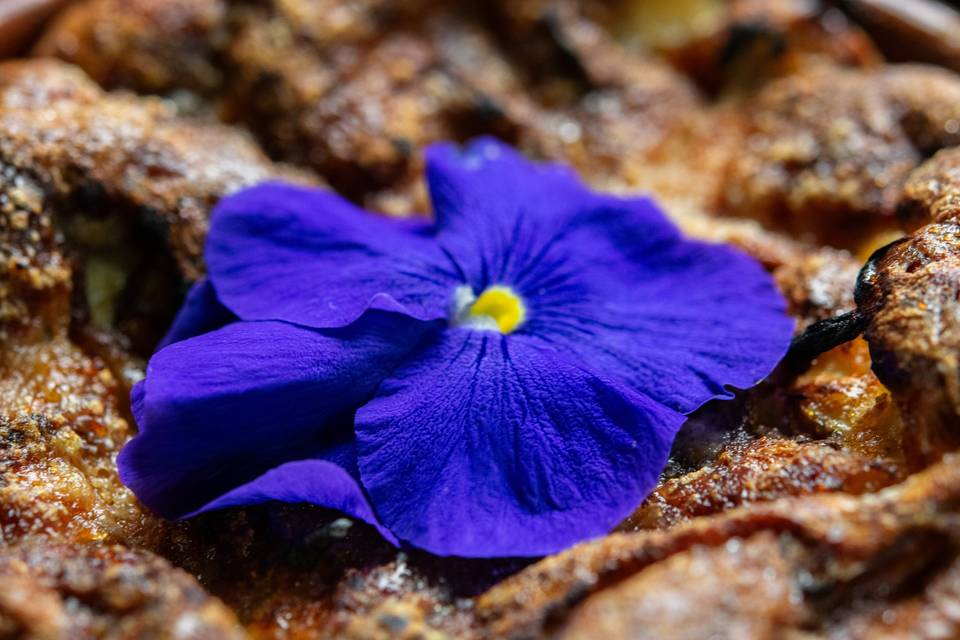 FleurBleueProche