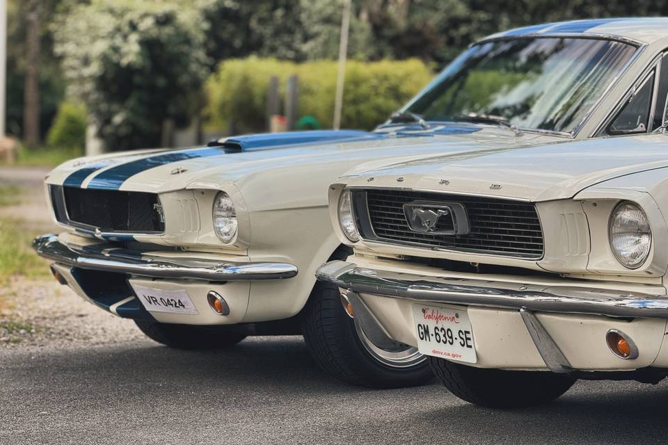 Mustang Shelby & mustang cabri