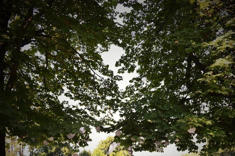 Cérémonie sous les arbres