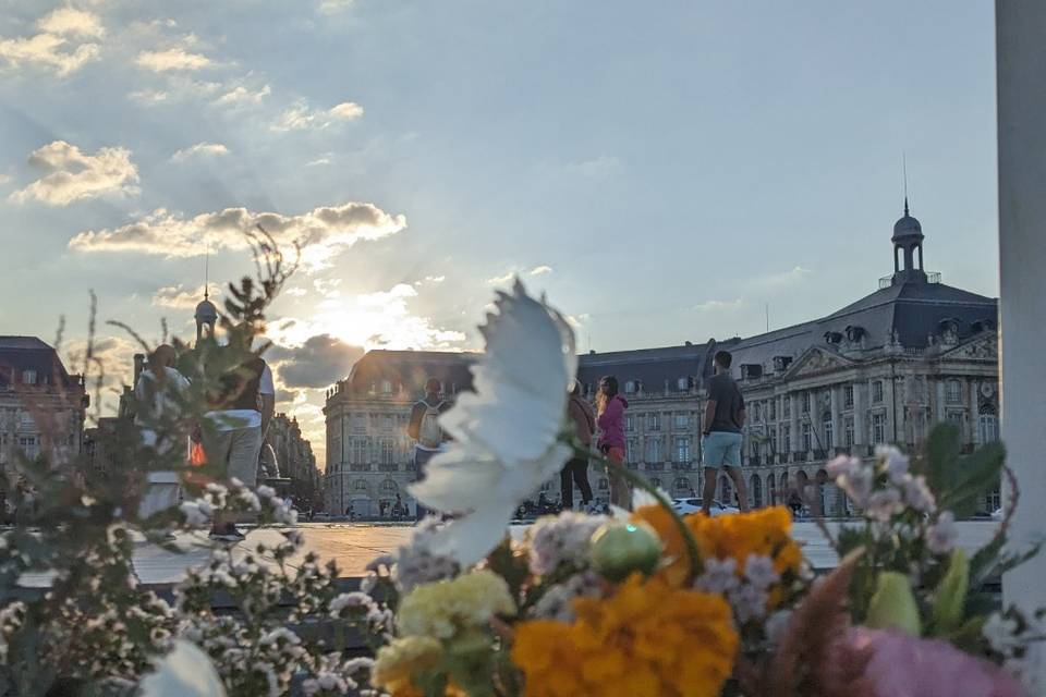 Bar à fleurs à Bordeaux