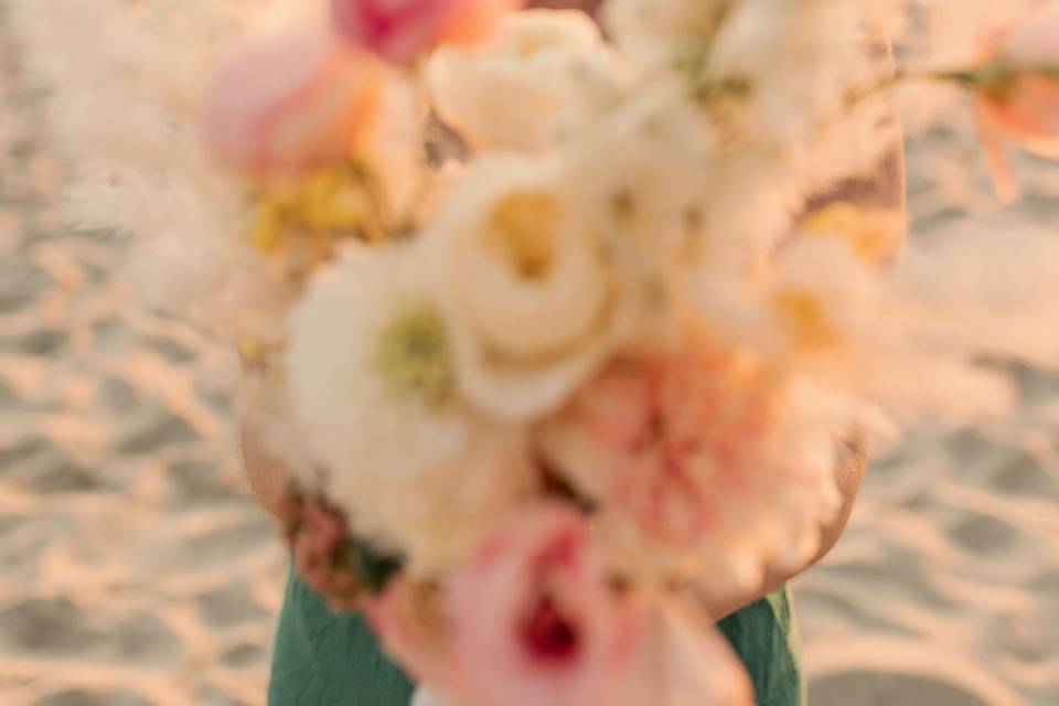 Amandine baconnier
