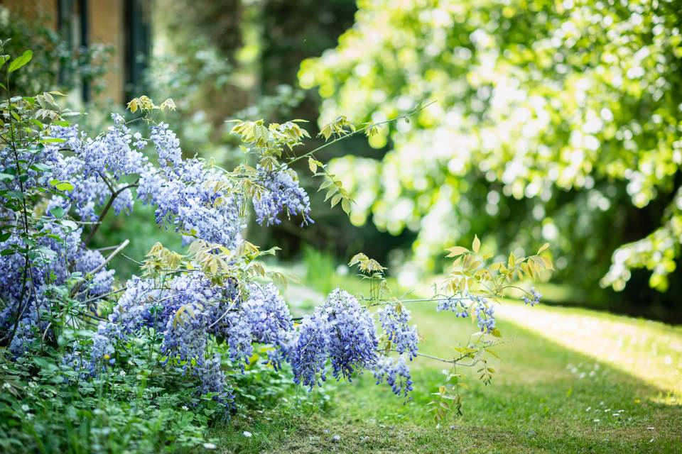 Service Floral